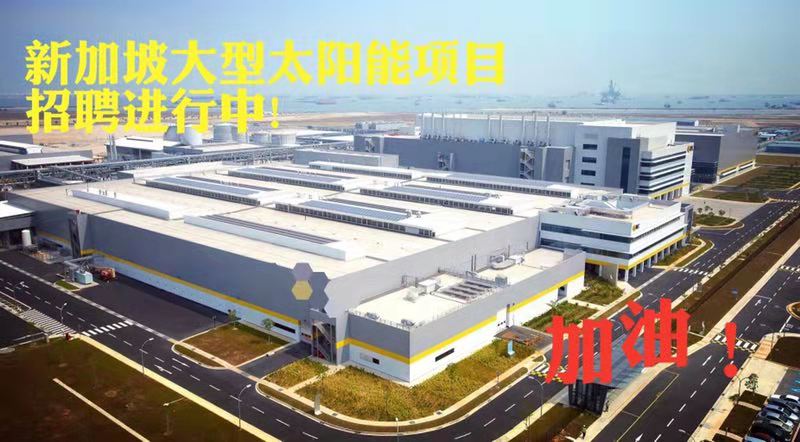 新加坡大型太阳能男女操作工